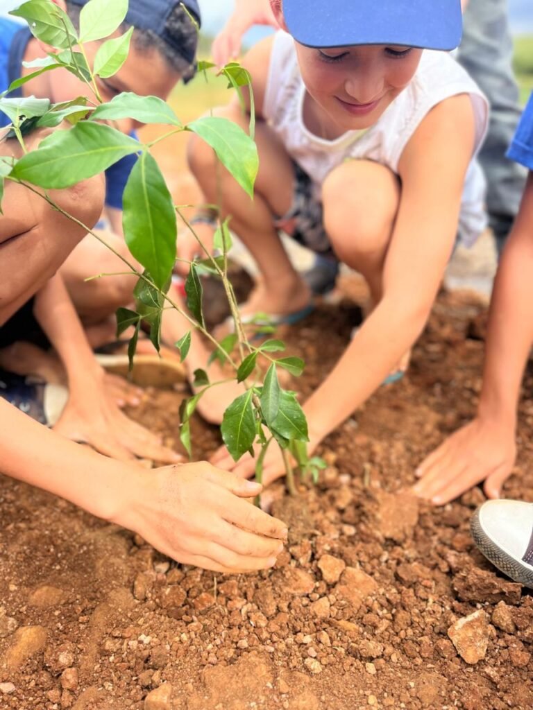 Programa de Educação Ambiental – ENGIE